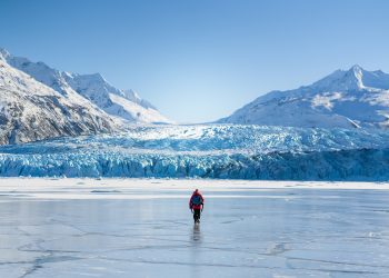 Epson publie son rapport « Les choix écologiques » sur le développement durable en Europe pour l’année 2021