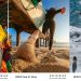 Dernier appel aux candidatures pour ‘‘OPPO imagine IF Photography Awards 2024’’
