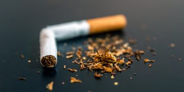 تونس: الوضع الراهن والآفاق