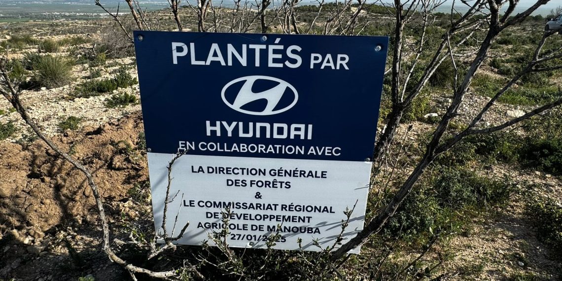 Hyundai Tunisie lance la 2ᵉ édition de son initiative écologique : Un arbre planté pour chaque véhicule vendu en 2024