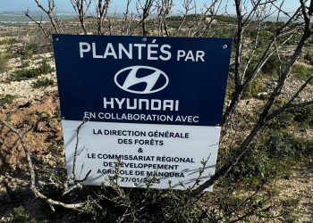 Hyundai Tunisie lance la 2ᵉ édition de son initiative écologique : Un arbre planté pour chaque véhicule vendu en 2024