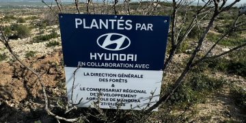 Hyundai Tunisie lance la 2ᵉ édition de son initiative écologique : Un arbre planté pour chaque véhicule vendu en 2024