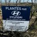 Hyundai Tunisie lance la 2ᵉ édition de son initiative écologique : Un arbre planté pour chaque véhicule vendu en 2024